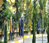 Repeat Exam for Common Compulsory Courses