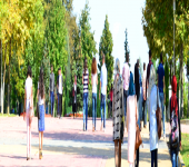 Student Council Elections