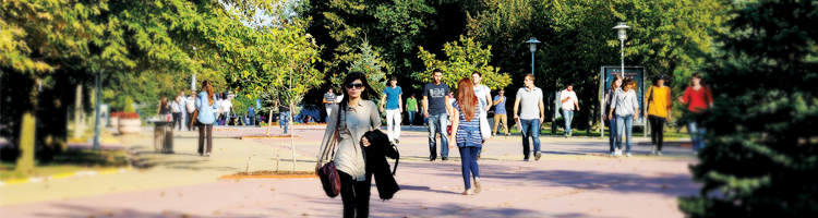 Spring Semester Course Registration